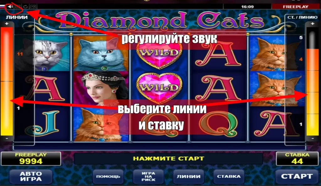 Настройки слота Diamond Cats