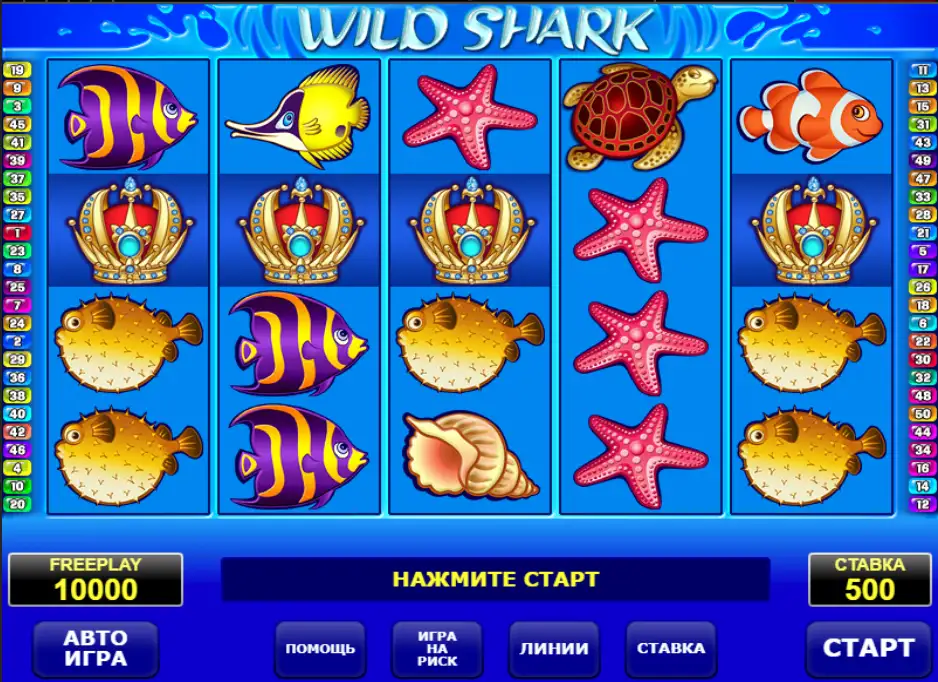 Как выглядит игровой автомат про акулу