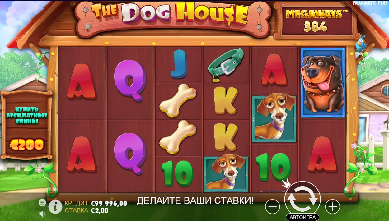 The Dog House Megaways игровое поле